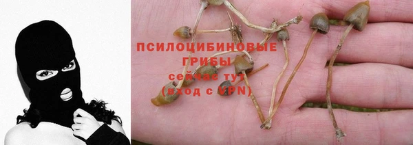 молекула духа Абдулино