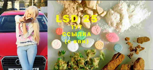 винт Абаза