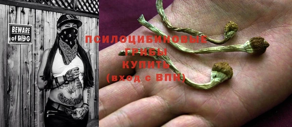 винт Абаза