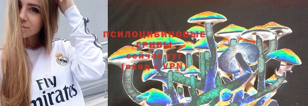 шишки Сатка