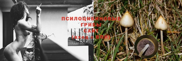 винт Абаза