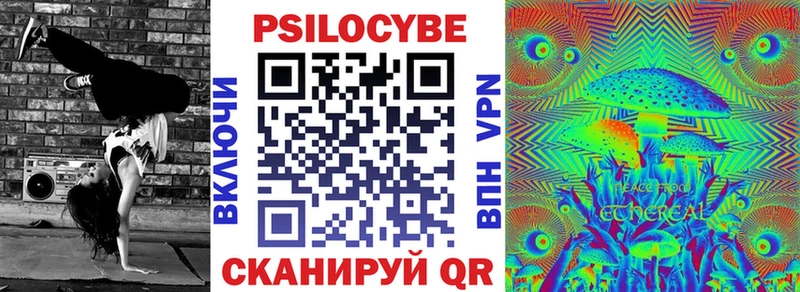 где найти наркотики  Чухлома  Псилоцибиновые грибы Psilocybine cubensis 
